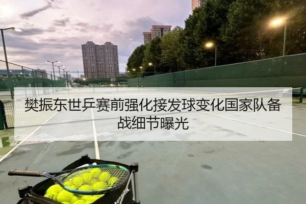 樊振东世乒赛前强化接发球变化国家队备战细节曝光
